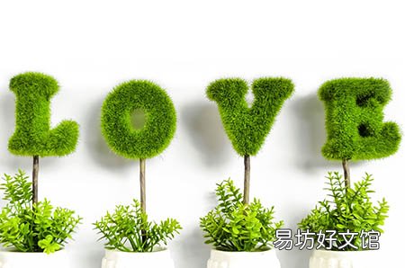 木瓜怎么吃丰胸效果最好