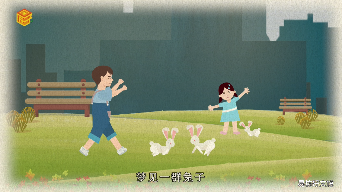 梦见一群兔子