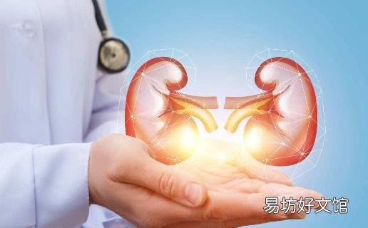 如何自测肾是否健康