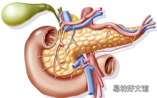 胰腺炎死亡率高达70% 胰腺炎发病给人体发出的警报