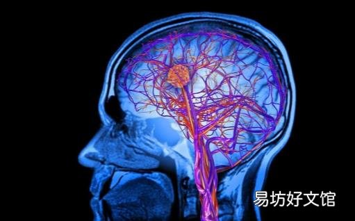 早上起床时出现剧烈的头痛 很遗憾脑出血可能找上你