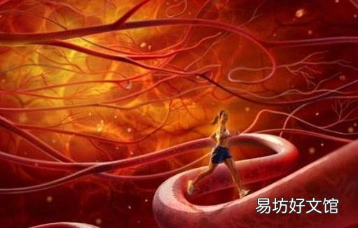 血管是人的生命的通道 养护血管的饮食调理