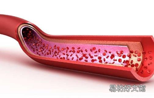 血管是人的生命的通道 养护血管的饮食调理