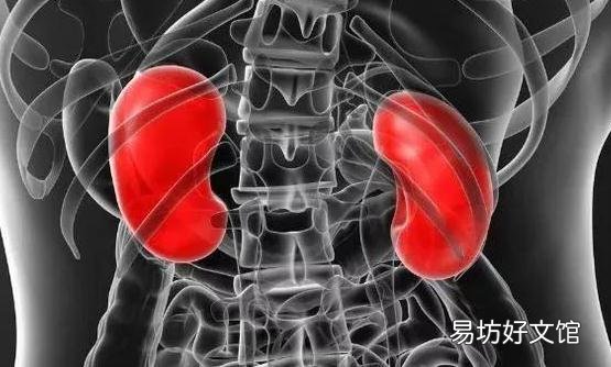 八个信号说明肾脏病了 晚上九点泡脚最护肾