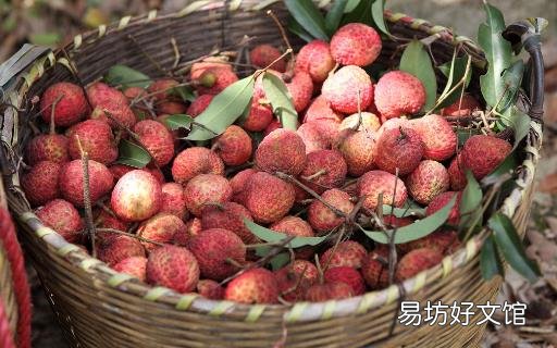 胃痛一般是胃病的表现 勿忽视腹痛外伴随的各项症状