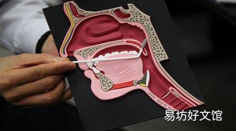 慢性咽喉炎的病因诊断 治疗慢性咽喉炎的14大偏方