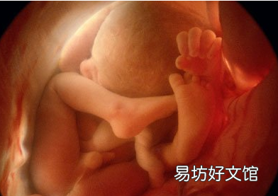 胎儿发育过程中的4个超能力