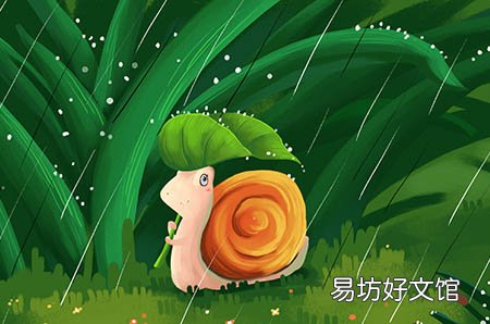 发生在卵巢的常见问题都是啥？