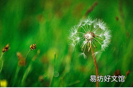 按说生二胎是为了幸福着想,为何越来越多的女性不快乐呢?