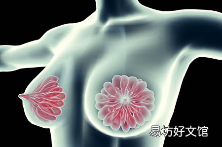 试管备孕食谱来袭，吃得好，试管才更好！