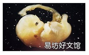 促進(jìn)胎兒視力發(fā)育的營(yíng)養(yǎng)物質(zhì)