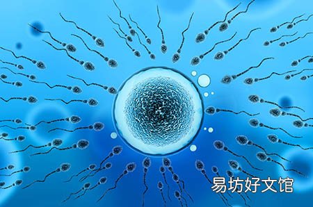 怀孕水肿生男生女