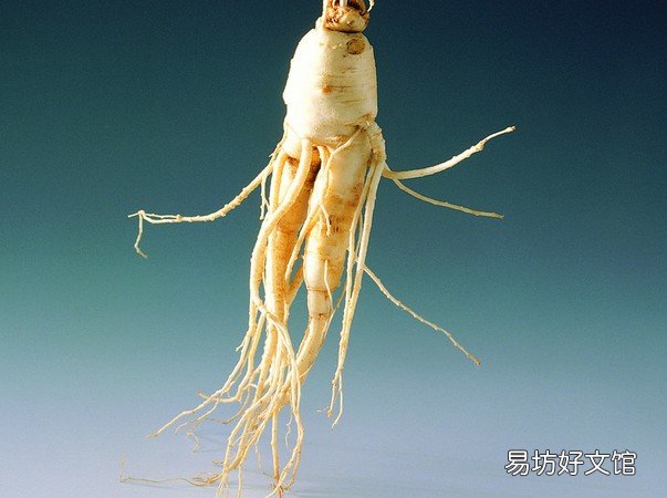 教训：人参吃多了导致3次流产
