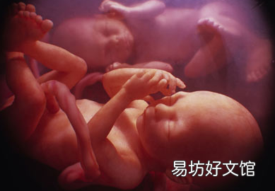 胎儿停育的原因有哪些