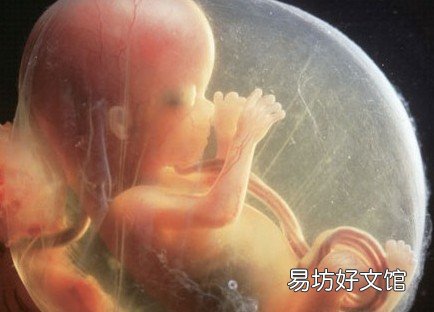 小心!影响胎儿发育的5大杀手