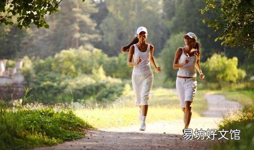 高蛋白减肥餐是好还是坏?