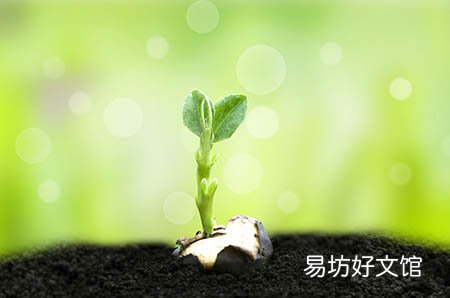 明明精液检查正常,为什么就是怀不上孩子?