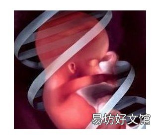 有关胎儿脐带绕颈的五个问答