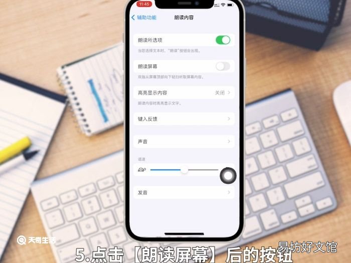 iphone怎么朗读文本 iphone朗读文本可以吗