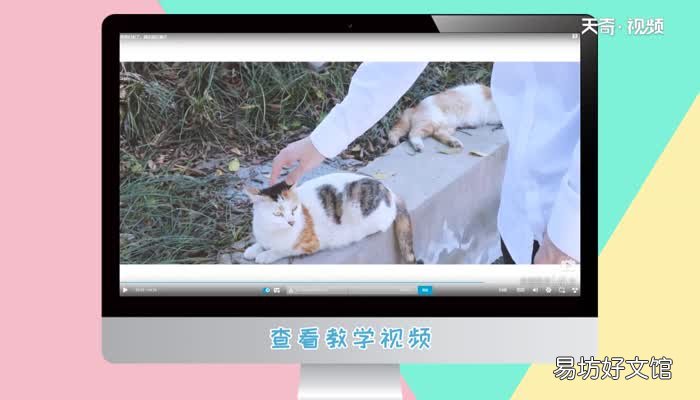 b站弹幕颜色怎么改b站弹幕颜色修改步骤