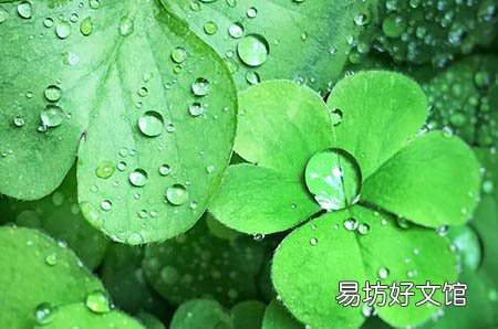 不孕的罪魁祸首居然是这个!看完赶紧预防!