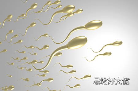 备孕吃什么容易生男孩 生男生女孕前饮食方法