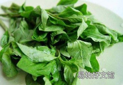 小心!孕前过量补叶酸危害大