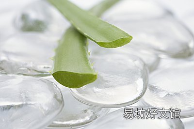 夏季芦荟减肥食谱的做法