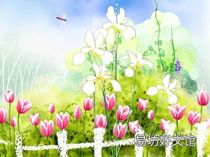 怀孕准备从早春时节开始