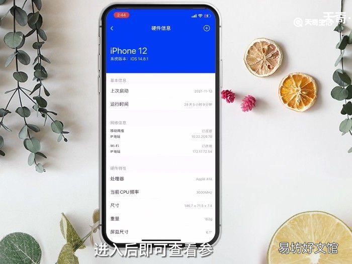 苹果属性 苹果属性在哪里查看