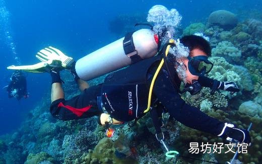 适合周末的八种健身时尚运动 减肥健身效果非常棒