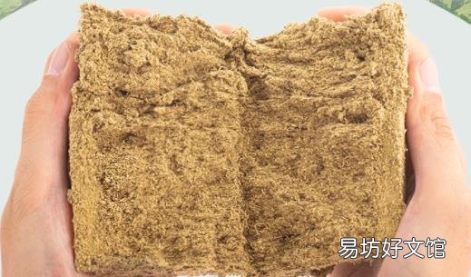 ?艾灸拉肚子怎么处理 艾灸起水泡还能继续艾灸吗
