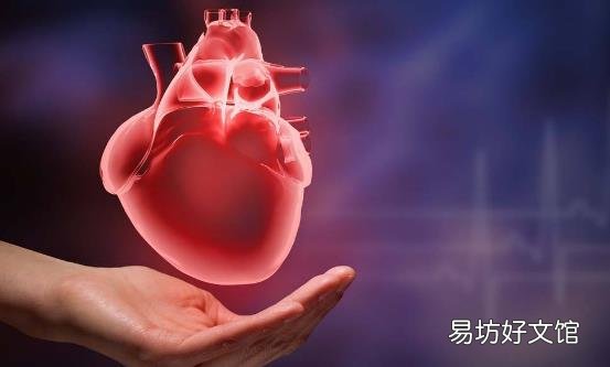 生物钟对人体都至关重要 应注意保持有序节律