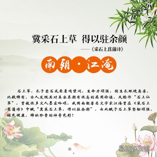 夏天掉头发是什么原因 怎么防掉头发?