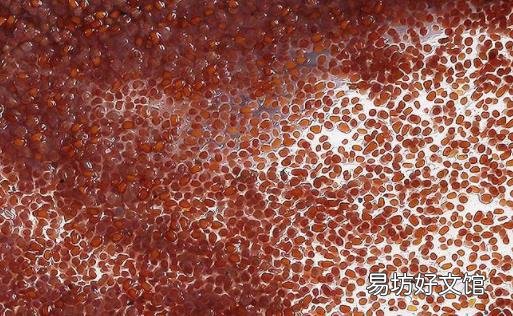 敷完海藻面膜还需要用洗面奶吗 纯牛奶泡海藻面膜禁忌