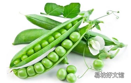 快速美白吃什么食物好