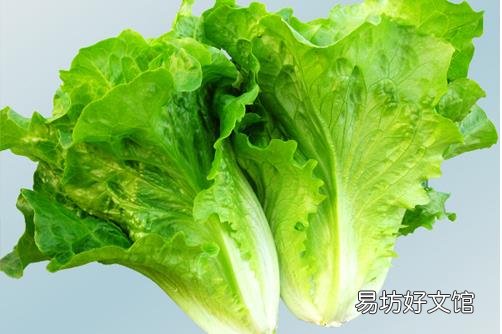 推荐:5种让你越吃越水灵的蔬果