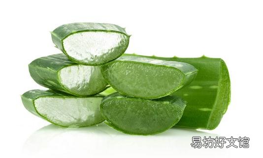 蘆薈美容的效果與蘆薈美容的方法