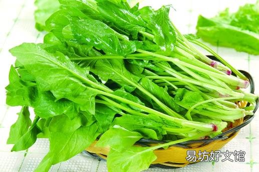 春季养生饮食 这7种食物最适合春季