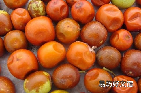 了解血管系统远离血管疾病 让血管恢复青春的保鲜剂