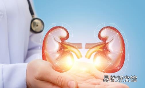 养生学会注重肾脏保养 应避免日常中伤肾的事情