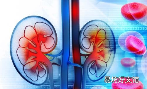 养生学会注重肾脏保养 应避免日常中伤肾的事情