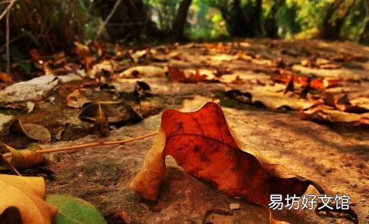 干燥的秋季该如何养生