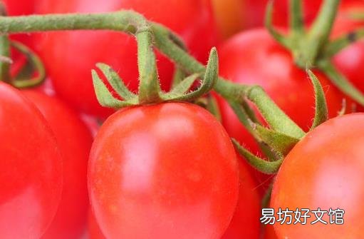 春季護膚養(yǎng)顏常吃八大食物 春季美白水果推薦