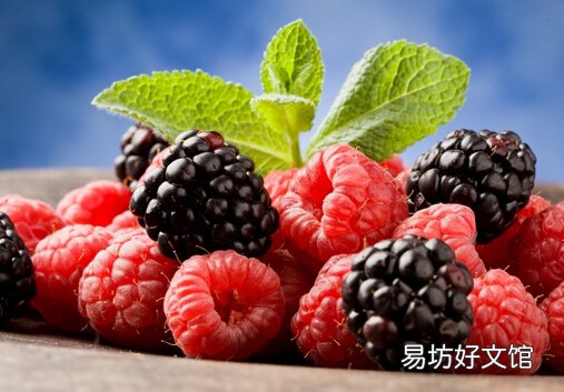 桑葚怎么洗?桑葚干怎么制作