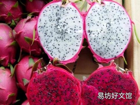 火龙果怎么做好吃?火龙果的做法大全