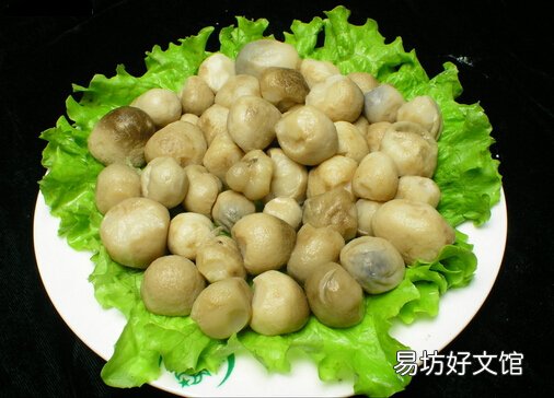 草菇怎么做营养好吃?草菇的做法