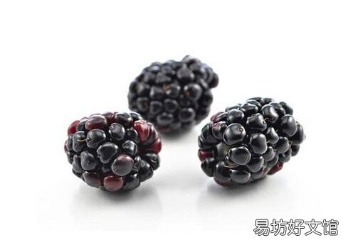 桑葚的功效-桑葚枸杞猪肝粥的做法