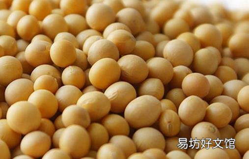 经常放屁可能是身体要出大问题 容易产生屁的食物