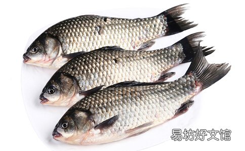 鱼的大小决定口感 八分大最适合烹饪
